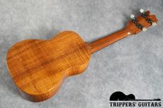 David Gomes Concert Custom (2011) 甘く優しいトーンで、ポロポロウクレレらしいサウンド。_15
