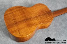 David Gomes Concert Custom (2011) 甘く優しいトーンで、ポロポロウクレレらしいサウンド。_16