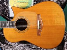ERVIN SOMOGYI MODIFIED D_2