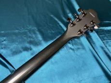 FERNANDES Vertigo Deluxe_9