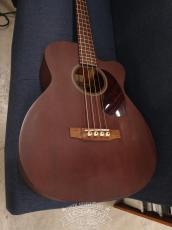 Martin 1999 BC-15E_15