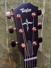 Taylor 【New Model!!】K24ce Special Edition Next Generation #1203166083【Claria™搭載】_4