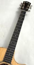 Taylor 【無金利分割OK】414ce Studio Special Edition【42.9mmナット幅】_3