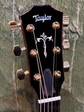 Taylor Legacy 914ce -Engelmann Spruce/Indian Rosewood- #1204095056【48回迄金利0%対象】【送料当社負担】_4