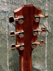 Taylor Legacy 914ce -Engelmann Spruce/Indian Rosewood- #1204095056【48回迄金利0%対象】【送料当社負担】_5