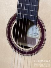 Orpheus Valley Guitars オルフェウス・ヴァレー・ギターズ Rondo RS  松・ウォルナット【日本総本店2F在庫品】_3