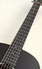 Taylor GS Mini-e special edition Victorian Burst #2208274219 【スペシャルカラー!!】_3