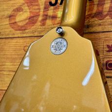 Blast Cult Hollow V Gold 【3.35kg】_6