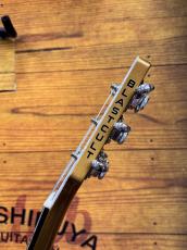 Blast Cult Hollow V Gold 【3.35kg】_7