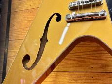 Blast Cult Hollow V Gold 【3.35kg】_10