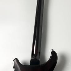 Paul Reed Smith [PRS] SE Custom 24 -Black Gold Burst-【万能サウンド】【3.40kg】_9