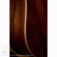 Keystone Stringed Instruments SJ Cutaway (Madagascar Rosewood)【デモ動画掲載】_7