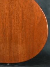 Gibson Les Paul 70s Deluxe Gold Top_15