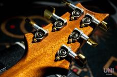 Paul Reed Smith [PRS] KID Limited Custom 24 Chamber 10Top Blue Matteo (Pattern Regular Neck) / 2014_6