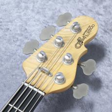 G&L USA L-2500 - Blue Burst -【4.53kg】_6