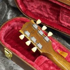 Gibson Les Paul 70s Deluxe Gold Top_5