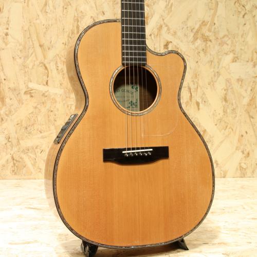 David Gomes SG 355 1996