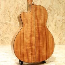 David Gomes SG 355 1996_2