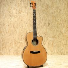 David Gomes SG 355 1996_3