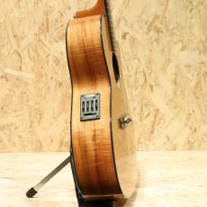 David Gomes SG 355 1996_4