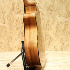 David Gomes SG 355 1996_5