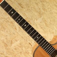 David Gomes SG 355 1996_6