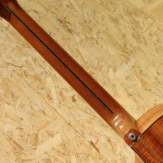 David Gomes SG 355 1996_7