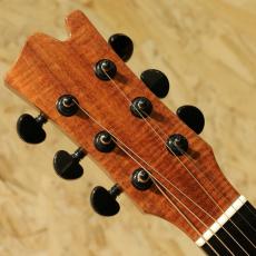 David Gomes SG 355 1996_8