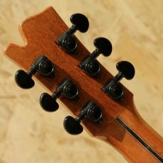 David Gomes SG 355 1996_9