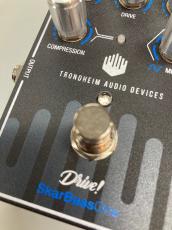 Trondheim Audio Devices SkarBassOne_4