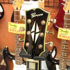 Greco CEG-100_5