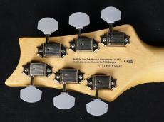 Paul Reed Smith [PRS] SE Silver Sky Dandy Lion 2025_9