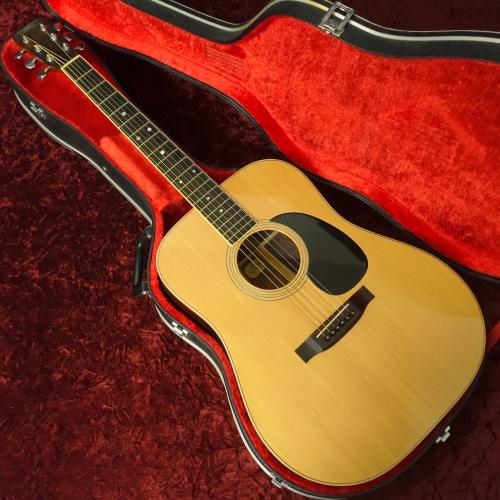 Aria Dreadnought D-60