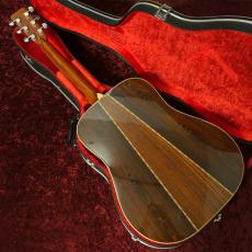 Aria Dreadnought D-60_2
