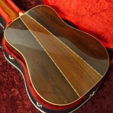 Aria Dreadnought D-60_4