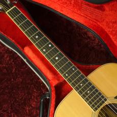 Aria Dreadnought D-60_5