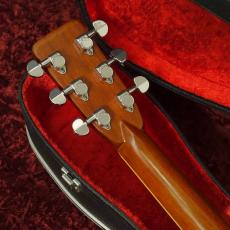 Aria Dreadnought D-60_8