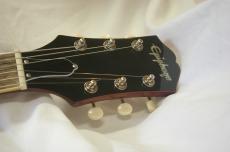Epiphone SG Special  P-90_6