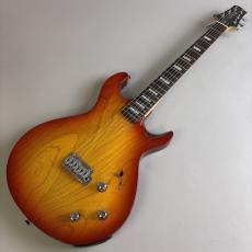 Line6 Variax700_2