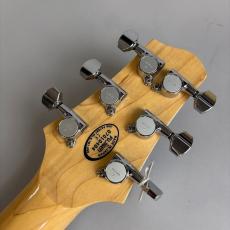 Line6 Variax700_8