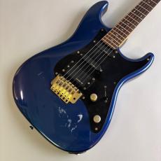 FERNANDES FST