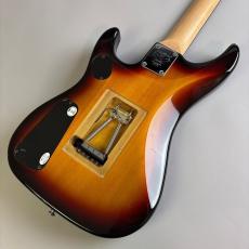 Washburn N2_5
