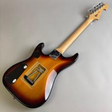 Washburn N2_6