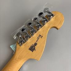 Washburn N2_8