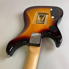 Washburn N2_10