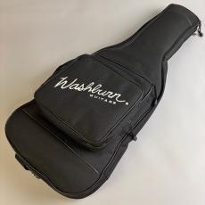 Washburn N2_11