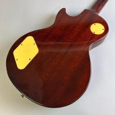 Epiphone LESPAUL STANDARD_5