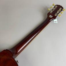 Epiphone LESPAUL STANDARD_7