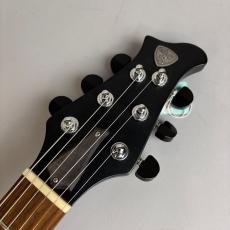 RYOGA BLACKHORNET_4