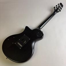 RYOGA BLACKHORNET_6